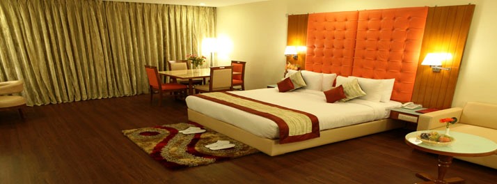 1251/Hotel Ramhan Palace Mahipalpur - New Delhi 09.jpg